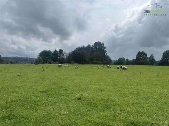 Parcela En Venta En Frutillar Punta Larga