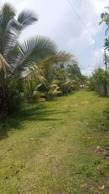 Vendo Esta Finca De 200 Tareas En Bayaguana