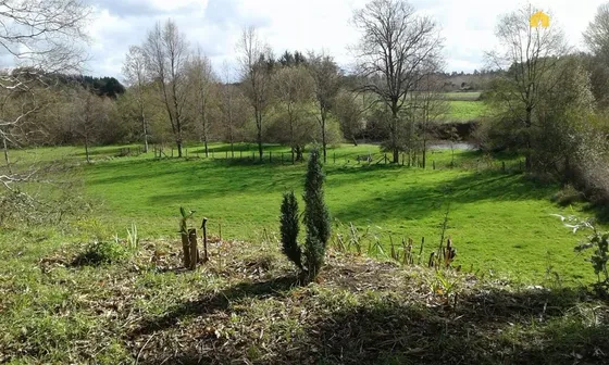 Parcela En Venta En Mafil Valdivia