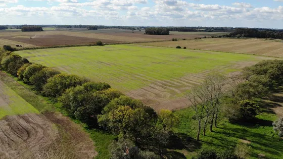Venta 42 Hectáreas Agrícolas En Lima