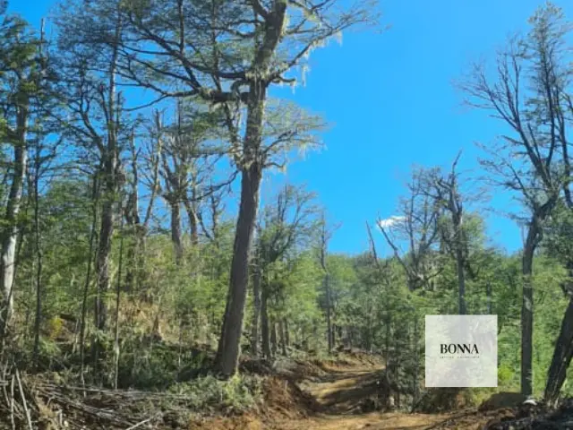 Terreno 5.000 m2 en Puerto Guadal, Vistas Panorámicas