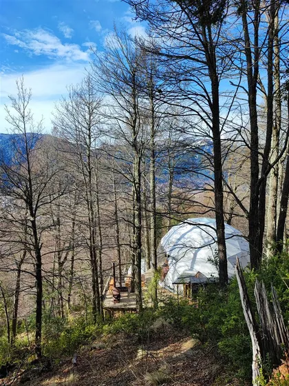 Terreno, Oportunidad De Inversión: Malalcahuello Ecoglamp 