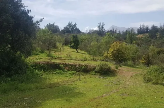 Parcela En Venta En Olmué