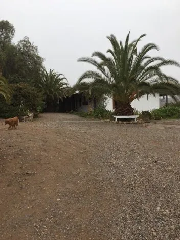Predio Agrícola, Ovalle