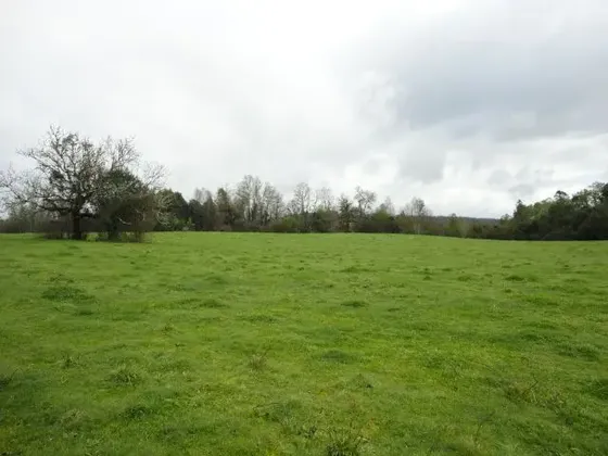Agrícola En Venta En Valdivia