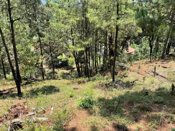 Terreno En Monte Alto Con Cimientos Y Acceso Vehicular