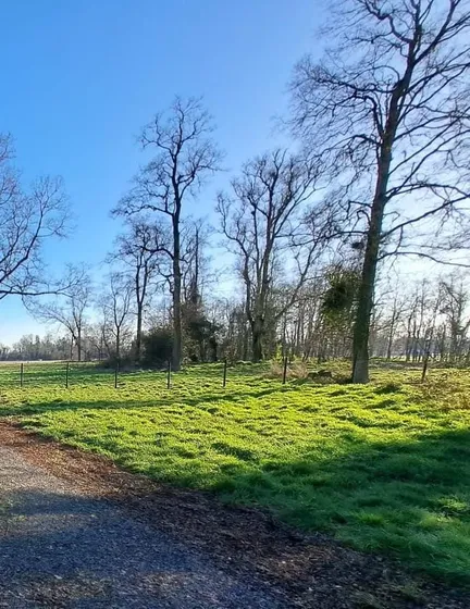 Se Vende Parcela A Pocos Min De Osorno Con Luz Agua Y Bosque
