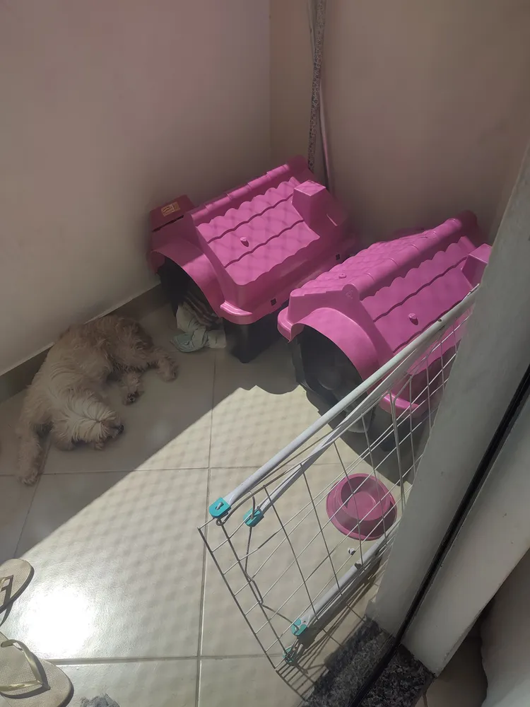 Casa Casinha Cachorro Plástica Desmontável N4 Grande Mecpet Cor Rosa - Imagem 3