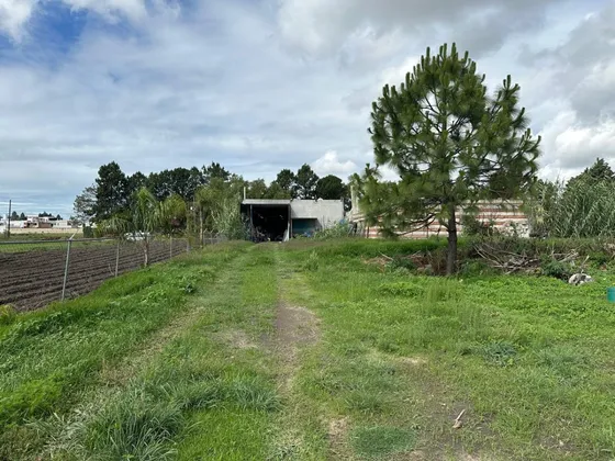 Bodega Con Terreno Amplios