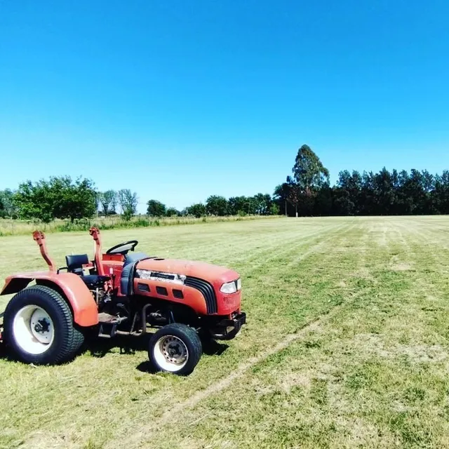 Servicio De Mantenimiento De Espacios Verdes/cortes De Pasto