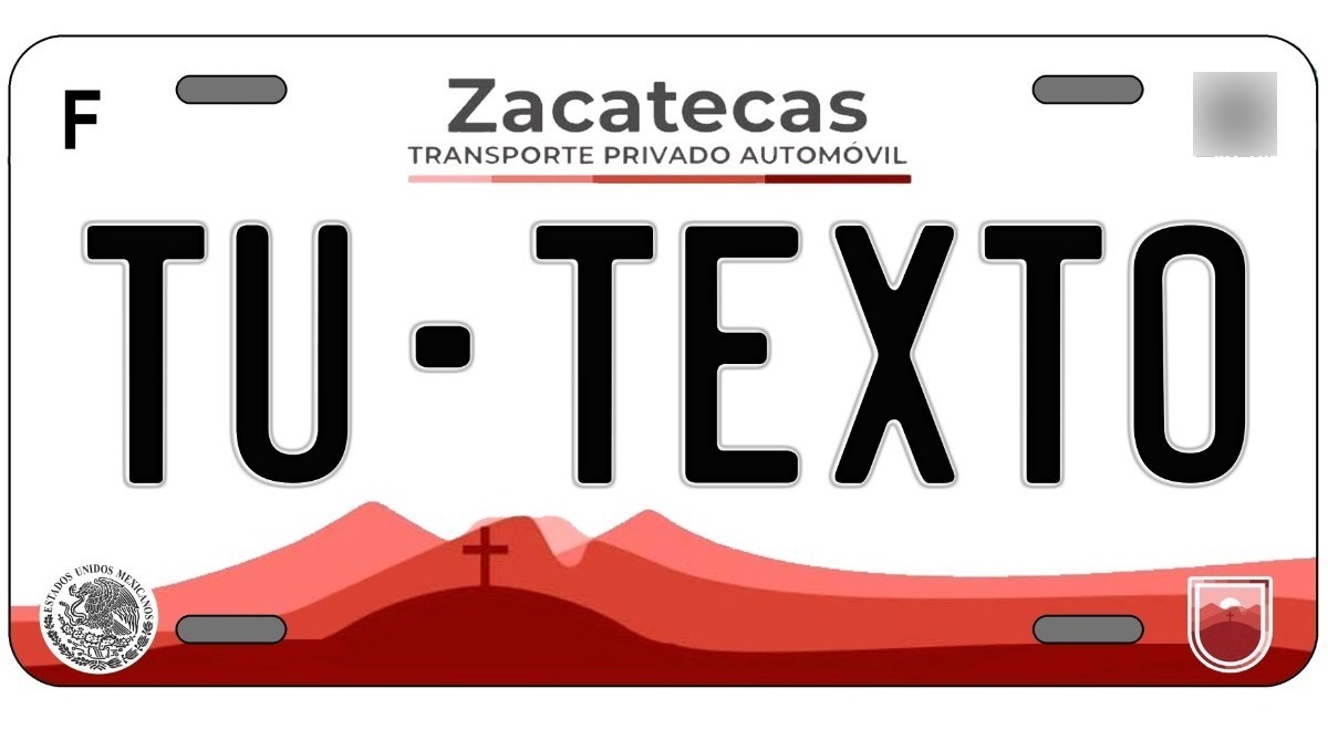 Placas Para Auto Personalizadas Zacatecas 2022 Meses sin intereses