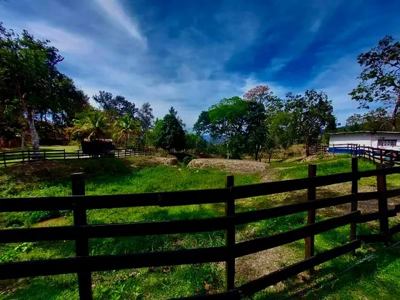 Finca En Miranda, Pueblo Páramo Agrícola Ganadero- Carabobo 