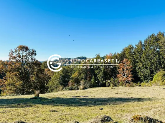 Campo 17 Ha La Misión Costa De Osorno