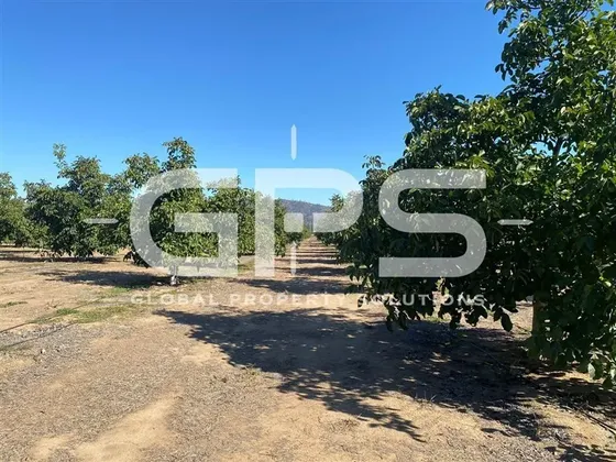 Venta Casablanca / 20 Há