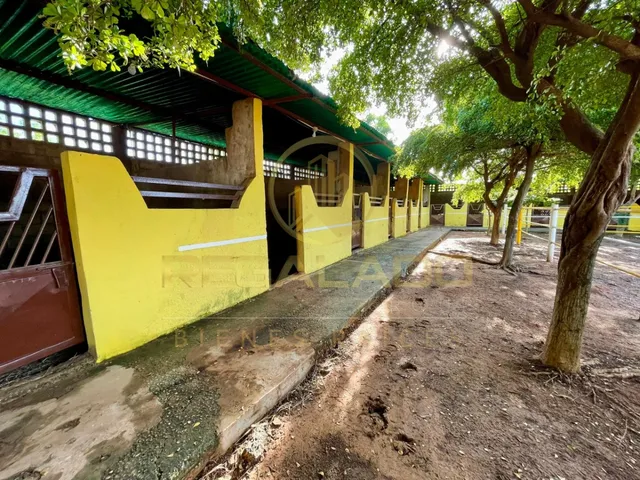 Egjv-003 Zona Oeste Granja Caballeriza Sector Los Bucares