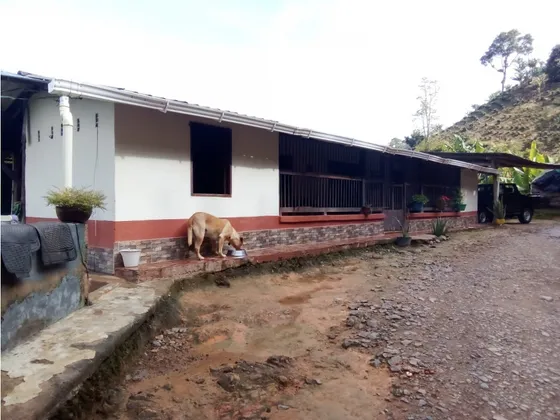 Venta Finca En Jardín, Alto Del Indio