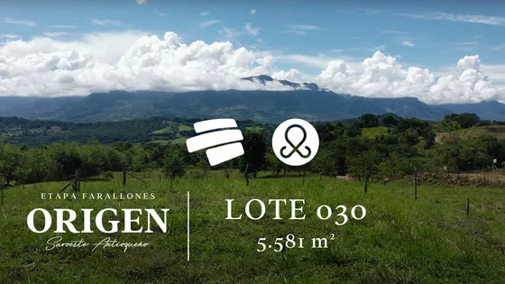 Lote Residencial En Venta En La Pintada  