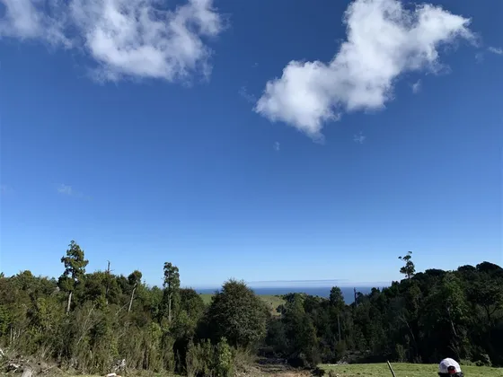 Campo 13,5 Ha En Venta En Los Muermos