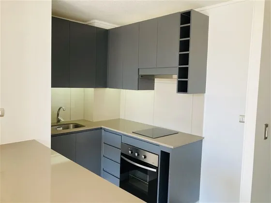 Arriendo Dpto. 1d 1b Metro P. Almagro