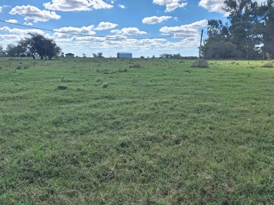Vendo Parcela De 1.65 Ha En Villa Elisa