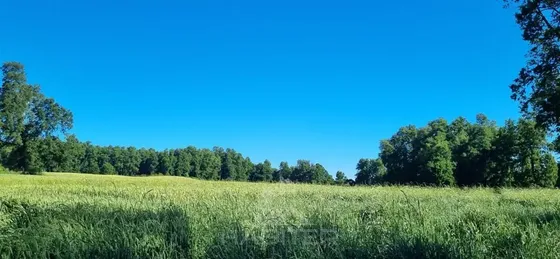 Cod39616 Venta De Campo Agrícola En Vilcún 45 Min De Temuco