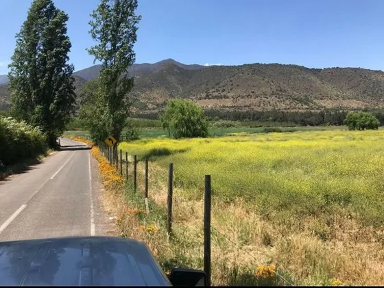 Hermosa Parcela Las Delicias ,5000mts 2 ,rancagua (codegua)