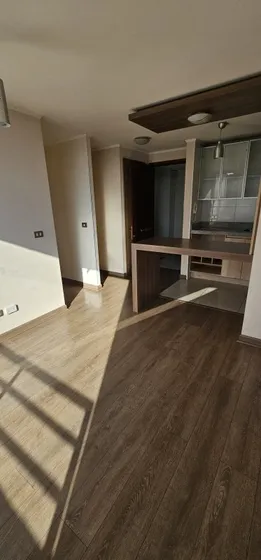 Arriendo Depto 2d+2b+e Concepción (maipu Con Janequeo)