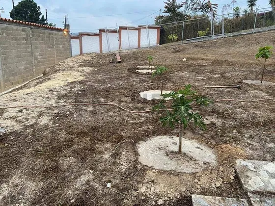 Terreno De1997m2 En Peña Alta El Faro San Antonio