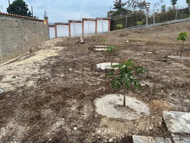 Terreno De1997m2 En Peña Alta El Faro San Antonio