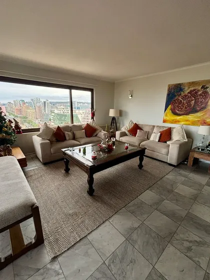 Plan De Viña Excelente Depto Sector Poniente. Remodelado