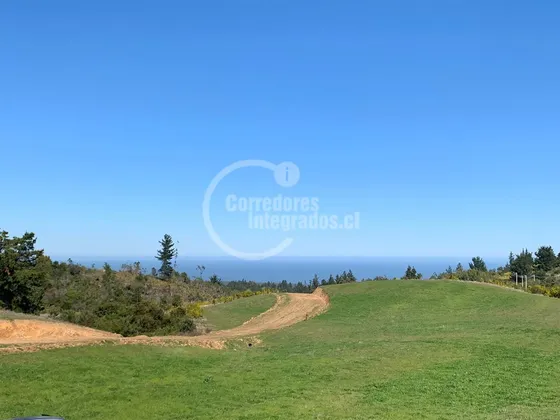 Sitio En Venta En Cobquecura