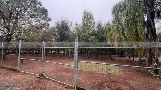 Hacienda San Javier