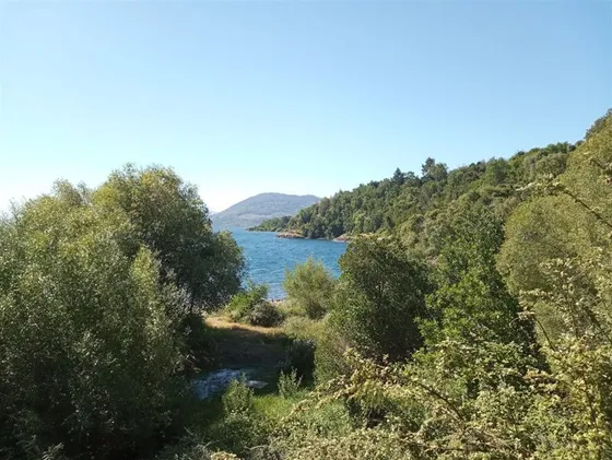 Sitio En Venta En Futrono