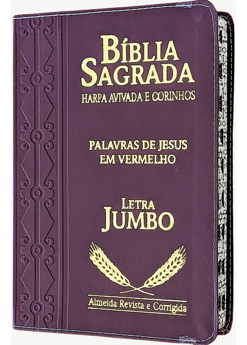 D_NQ_NP_2X_650510-MLA90239156890_082025-F Jesus Cristo – sua vida, ensino e obra redentora