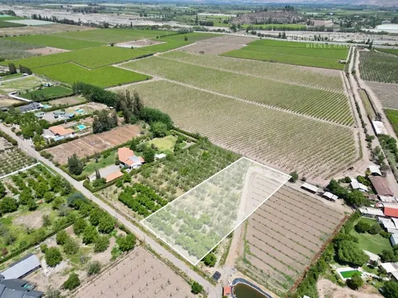 San Felipe - Vende Terreno De 5.000m2 - Tocornal