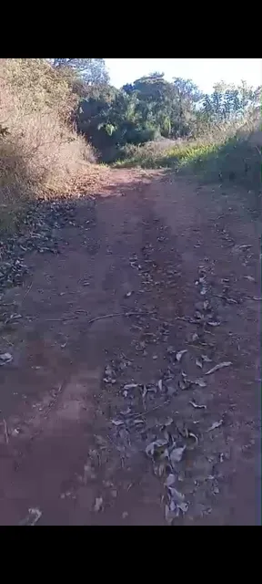 Terreno Em Ibirama. 150mil .contendo 5.000 Metros Quadrados.
