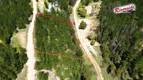 Linda Parcela Gran Bosque, Ideal Para Refugio 