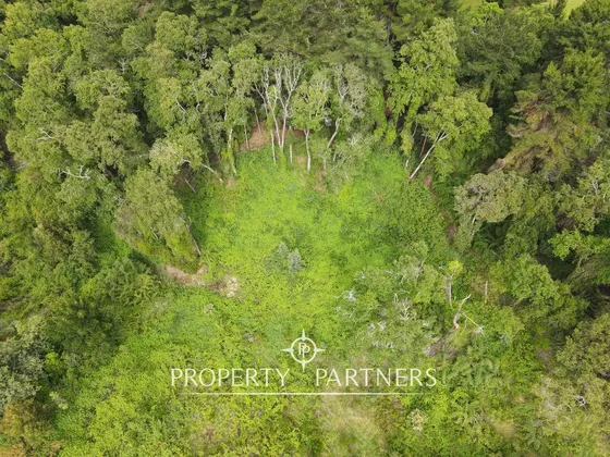 Terrenos Con Hermoso Bosque Dentro De Condominio