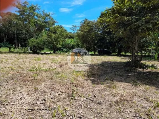 Venta De Terreno Con 13,011mts2 En Juan Hombron, Rio Hato