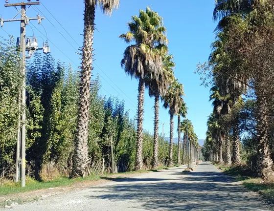  Oportunidad. Precio Menor A Tasación. Parque Doña Javiera
