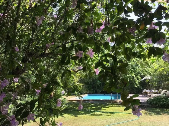 Sitio Plano Santa Maria /1570 Mts/ Calle Cerrada/ Guardia