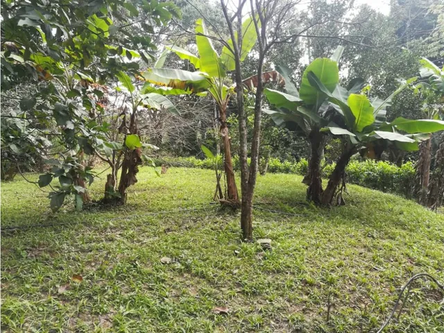 Casa En Terreno Ecológico Fundo El Chuponal C-891379