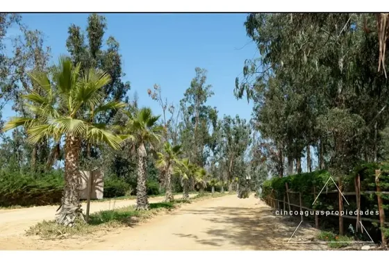 Oferta, Parcela En Catapilco Foresta De Zapallar