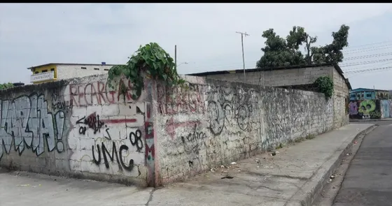 Vergeles Terreno 1/4 De Cuadra Con Escrituras  770mts