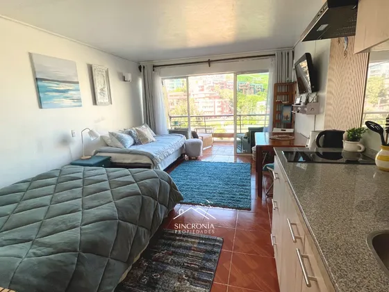 Arriendo Depto Loft Reñaca Hasta 15 De Dic