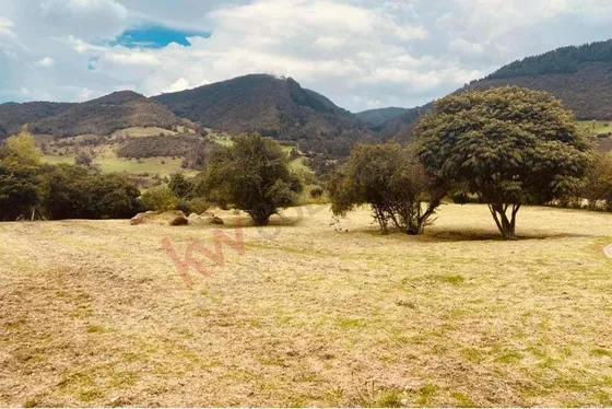 Lote Macadamia Del Rio La Calera (5950).