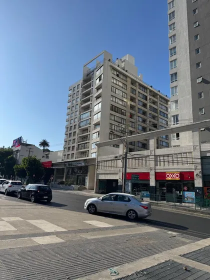 Departamento En Viña Del Mar