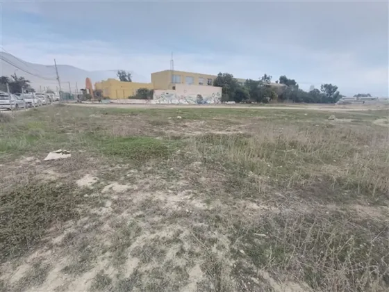 Liquidamos Terreno Agrícola En Sauce Miramar, Coquimbo