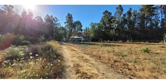 Se Vende Parcela  En Cucha Urrejola