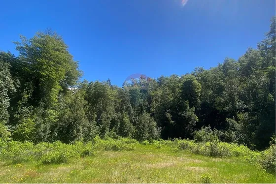Venta De Hermoso Campo Rodeado Por Dos Esteros
